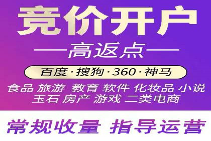 百度推广返点攻略：成功案例分享与启示